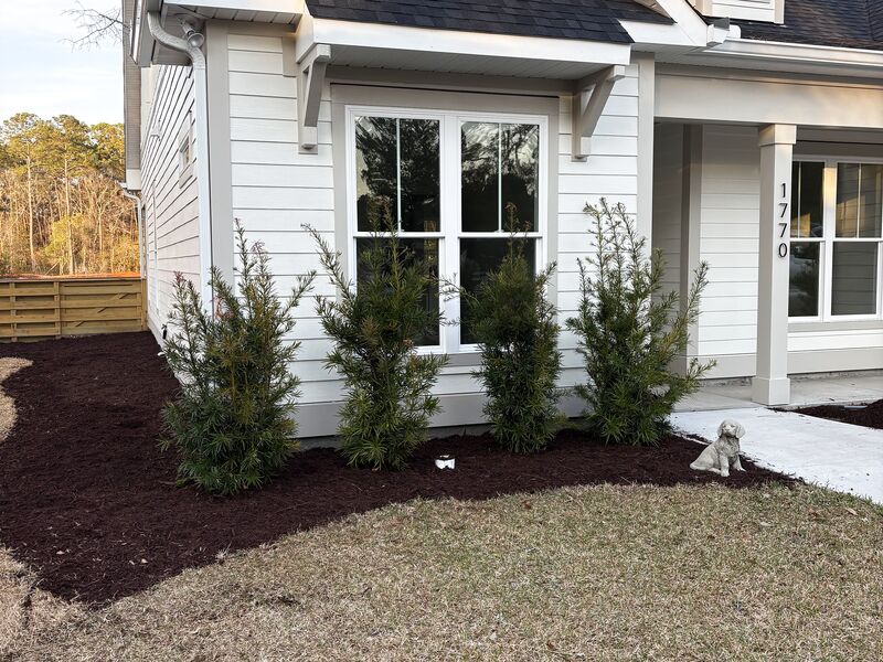 New landscape installation