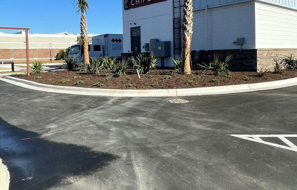 Commercial storefront landscaping with palm islands at a retail site