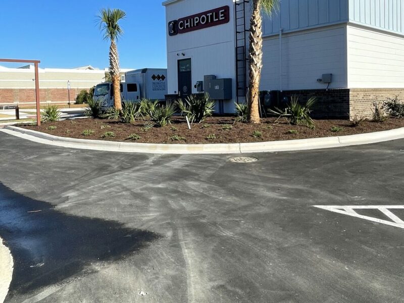 Commercial storefront landscaping with palm islands at a retail site