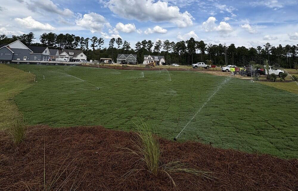 Irrigation system running on freshly installed sod in a coastal Carolina community