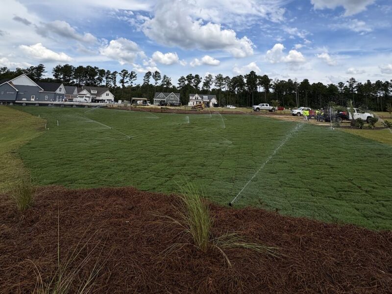 Irrigation system running on freshly installed sod in a coastal Carolina community